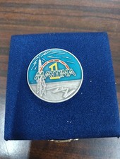 Medaglia argento usato  Palermo