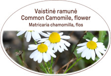 Kamille blume gesunder gebraucht kaufen  Versand nach Germany