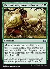 Don façonneuse vie d'occasion  Bellegarde