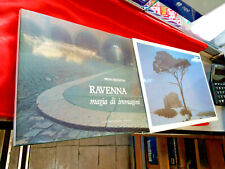 Libro paolo equisetto usato Libro paolo equisetto usato  Italia