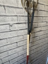 Cob full training for sale  CHATHAM