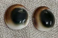 Glass animal eyes for sale  Cottonwood