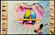 Birds green blue for sale  Tampa