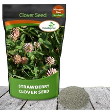 Perennial strawberry clover for sale  Brentwood