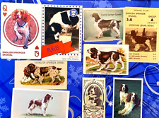 Vintage dog cards for sale  Webster