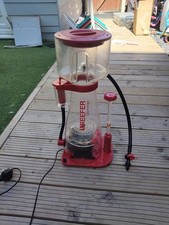Red sea reefer for sale  CHATHAM