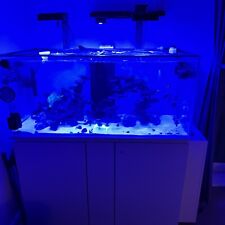 460ltr marine aquarium for sale  BEDFORD