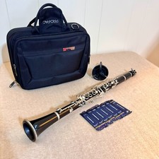 Student clarinet protec for sale  Frisco