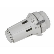 Tête thermostatique raw d'occasion  France