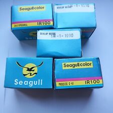 Rullini pose seagull usato  Morra de Sanctis