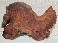 Vintage cypress knee for sale  Milwaukee