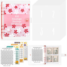 100 envelope saving usato  Roma