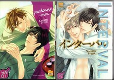 Lot manga kaname d'occasion  Saint-Gilles-Croix-de-Vie