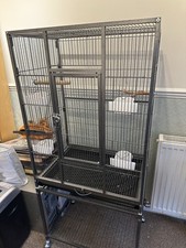 Cage budgie parakeet for sale  ST. ALBANS