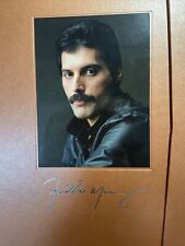 The freddie mercury usato  Ascoli Piceno