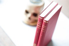 Magick buch band gebraucht kaufen  Stuttgart