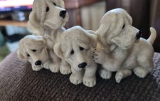 Collectibles second nature for sale  New Bethlehem