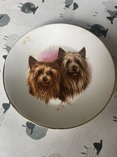 Dog display plate for sale  KEIGHLEY