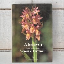 Abruzzo colori della usato  San Benedetto del Tronto