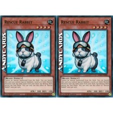 Rescue rabbit super usato  Ravenna