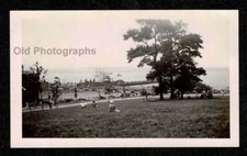 Looking hill sea for sale  Saginaw