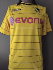 Borussia bvb dortmund gebraucht kaufen  Westerrönfeld