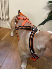 Harnais traction idog d'occasion  Paris-