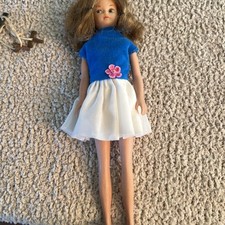 1965 american character for sale  Wray