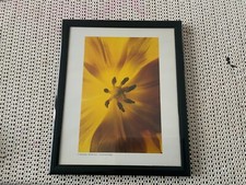 Cadre photo photographie d'occasion  Strasbourg-