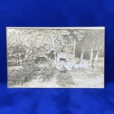 Vintage rppc ducks for sale  Canoga Park
