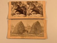 Washington state stereoview for sale  Marlborough