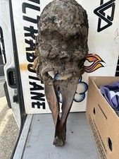 Antique tribal demon for sale  ADDLESTONE