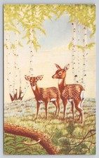 Springtime deer fawns for sale  USA