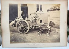 Dog drawn carts for sale  BATH