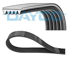 Cinghia poly dayco usato  Italia