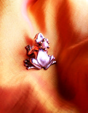 frosch silber gebraucht kaufen frosch silber gebraucht kaufen München