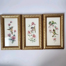 Hummingbirds carolyn shores for sale  Shafer