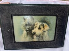 Jack russell cairn for sale  Papillion