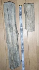 Schwemmholz treibholz schöne gebraucht kaufen  Duisburg