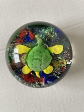 Turtle tortoise glass for sale  UK