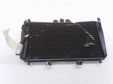 speed triple 1050 radiatore usato  Chignolo Po