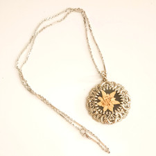 Vintage dried pressed for sale  Chester