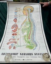 Vintage autonomic nervous for sale  WREXHAM