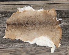 deer hide for sale deer hide for sale Atlanta