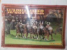 Warhammer fantasy marauder for sale  Houston