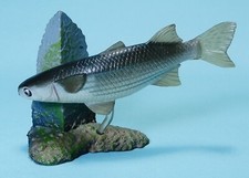 Yujin peixe de água salgada na cor parte 2 valentão marinho cabeça chata tainha cinza vendedor dos EUA comprar usado  Enviando para Brazil