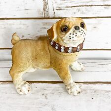 Pug apricot brown for sale  Clearwater