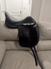 Amerigo classic dressage for sale  Ocklawaha