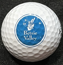 Betsie valley golf for sale  Irwin