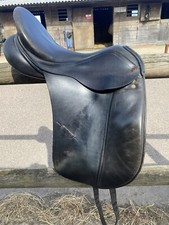 Albion legend dressage for sale  WICKFORD